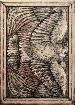 Zoo 52 - Owl Front Thumbnail Image