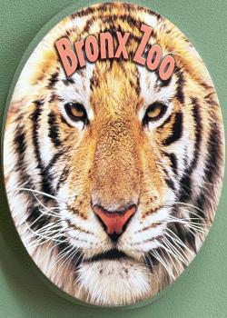 Bronx Zoo Round Thumbnail