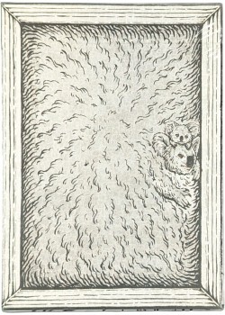 Zoo 52 - Koala Thumbnail