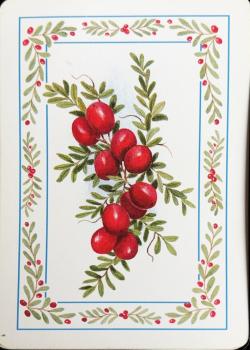Cranberries on the Vine Thumbnail