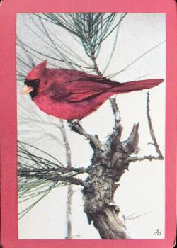 Hoyle Collection - Northern Cardinal Thumbnail