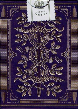 Monarchs Purple back