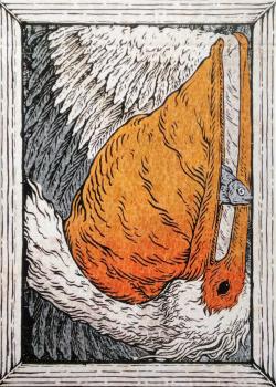 Zoo 52 - Pelican Front Thumbnail Image