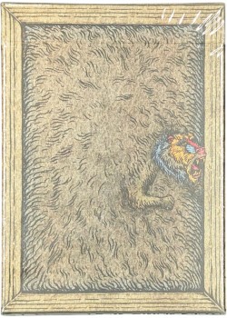 Zoo 52 - Mandrill Thumbnail