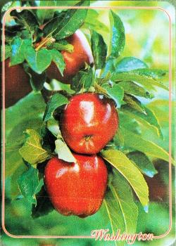 Washington Apples Front Thumbnail Image