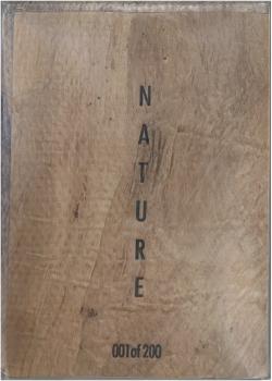 Pachira Awuatic Front Thumbnail Image