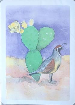 Graphica Desert Quail Thumbnail