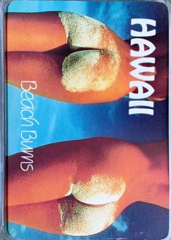 Hawaii Beach Bums Thumbnail