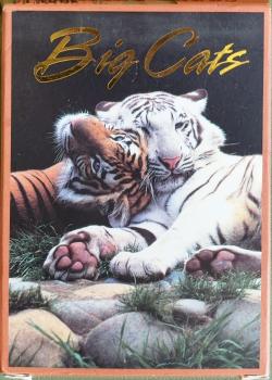 Big Cats Thumbnail