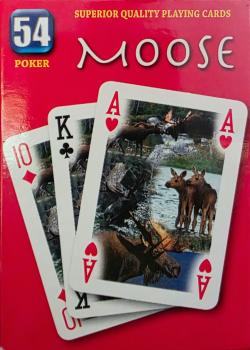 Moose Front Thumbnail Image