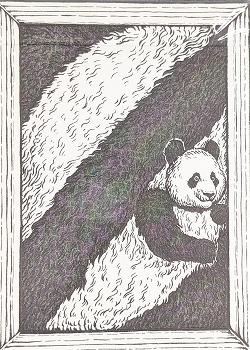 Panda 52 Thumbnail