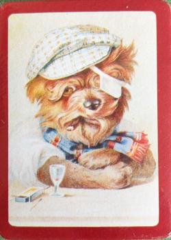 Mrs. Grossman's Tough Dog with Eyepatch - Red Thumbnail
