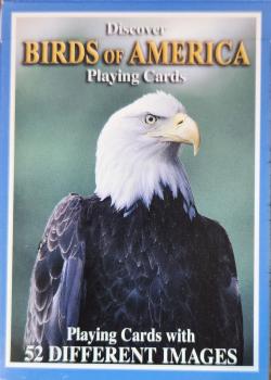 Discover Birds of America Thumbnail