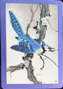 Hoyle Collections - Blue Jay Thumbnail