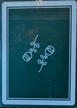 Black Roses Casino V4 (Holo Gilded) Thumbnail