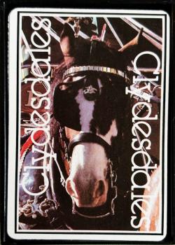 Clydesdales Thumbnail
