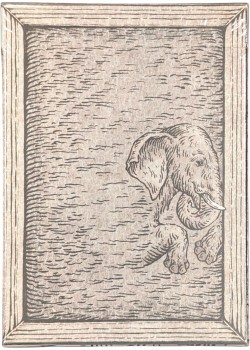 Zoo 52 - Elephant Front Thumbnail Image