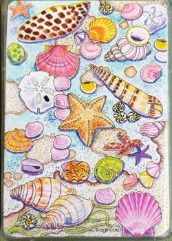 Seashells Thumbnail