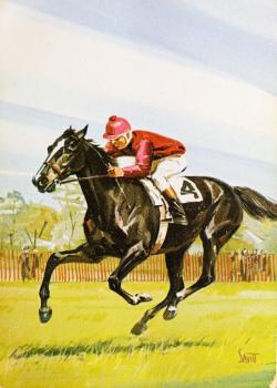 Congress Sam Savitt Thoroughbred Racehorse Back Thumbnail