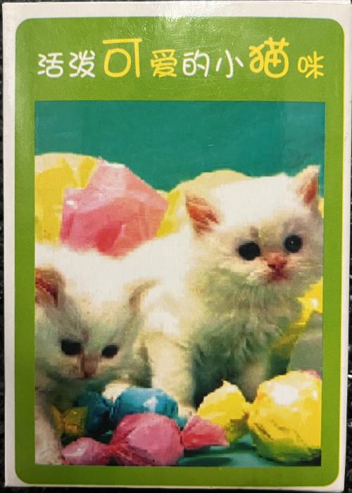 Lively and Cute Kitten (chinese) Card Detail Image