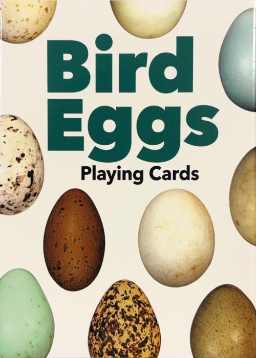 Bird Eggs Card Detail Image