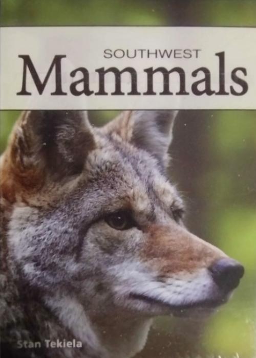 Mammals Of The Southwest Card Detail Image