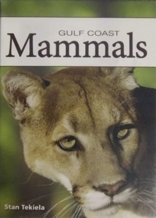 Mammals Of The Gulf Coast Card Detail Image