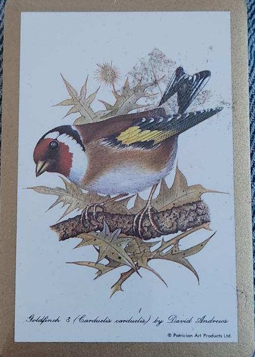 Hoyle Goldfinch Card Detail Image