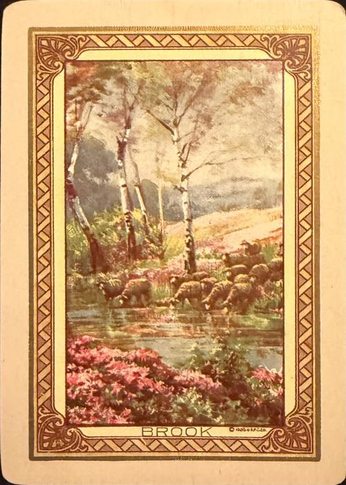 Congress 606 “Brook” Card Detail Image