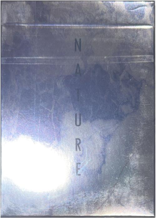 Austin Marble Gilded Card Detail Image