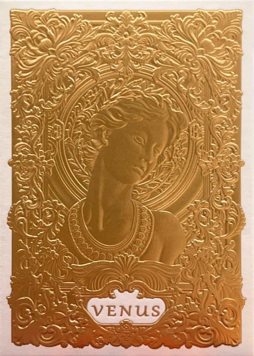 Venus Platinum Standard Card Detail Image