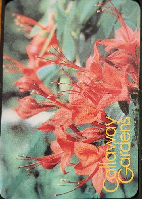 Callaway Gardens Card Detail Image