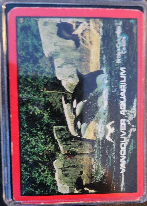 Vancouver Aquarium Card Detail Image