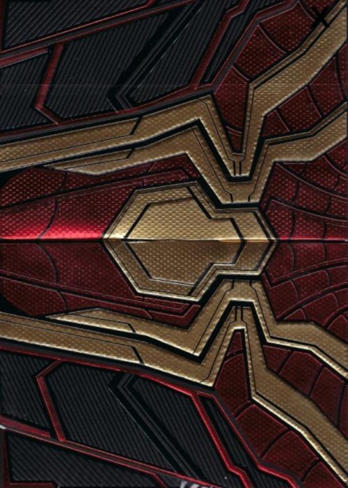 Spider-Man: No Way Home Card Detail Image