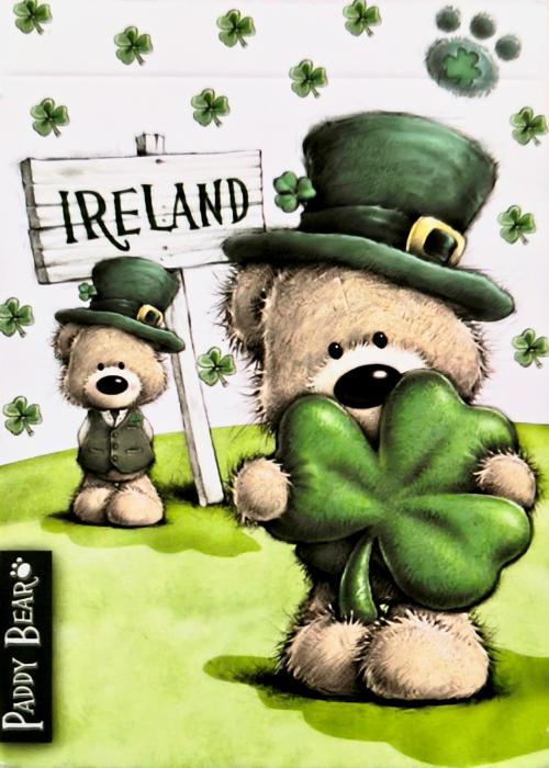 Paddy Bear Card Detail Image
