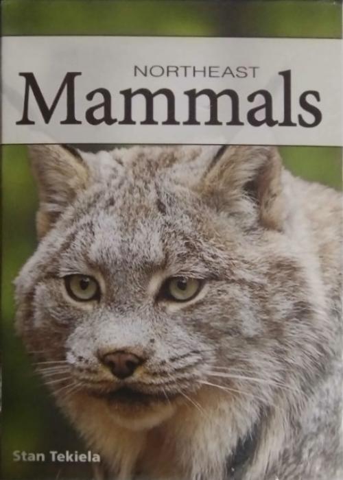 Mammals Of The Northeast Card Detail Image