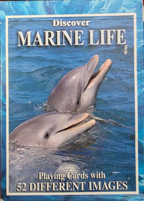 Discover Marine Life Card Detail Image