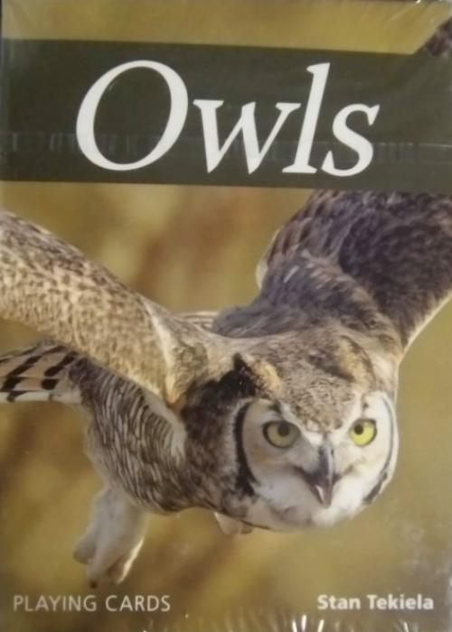 Owls Card Detail Image