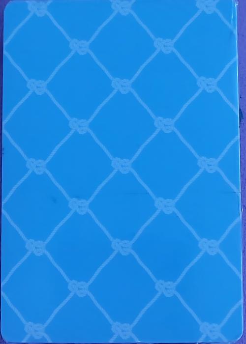 Blue lattice Card Detail Image