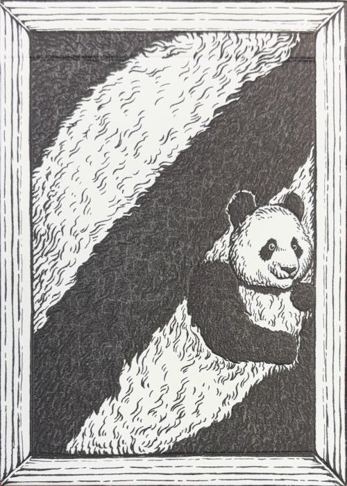 Panda 52 Card Detail Image