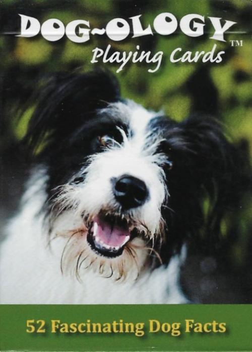 Dog-Ology [Sea To Sky Photography] Card Detail Image