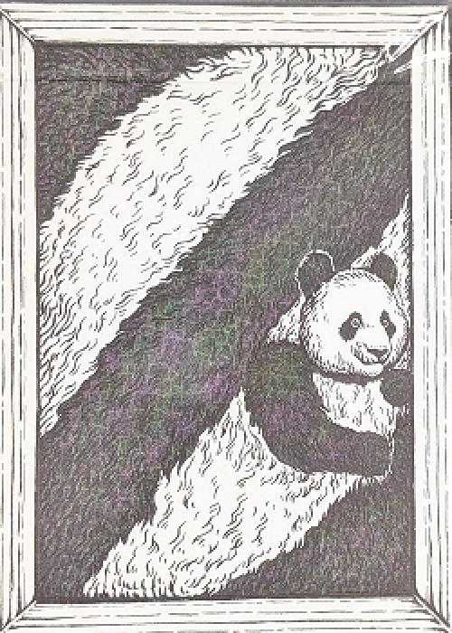 Panda 52 Card Detail Image